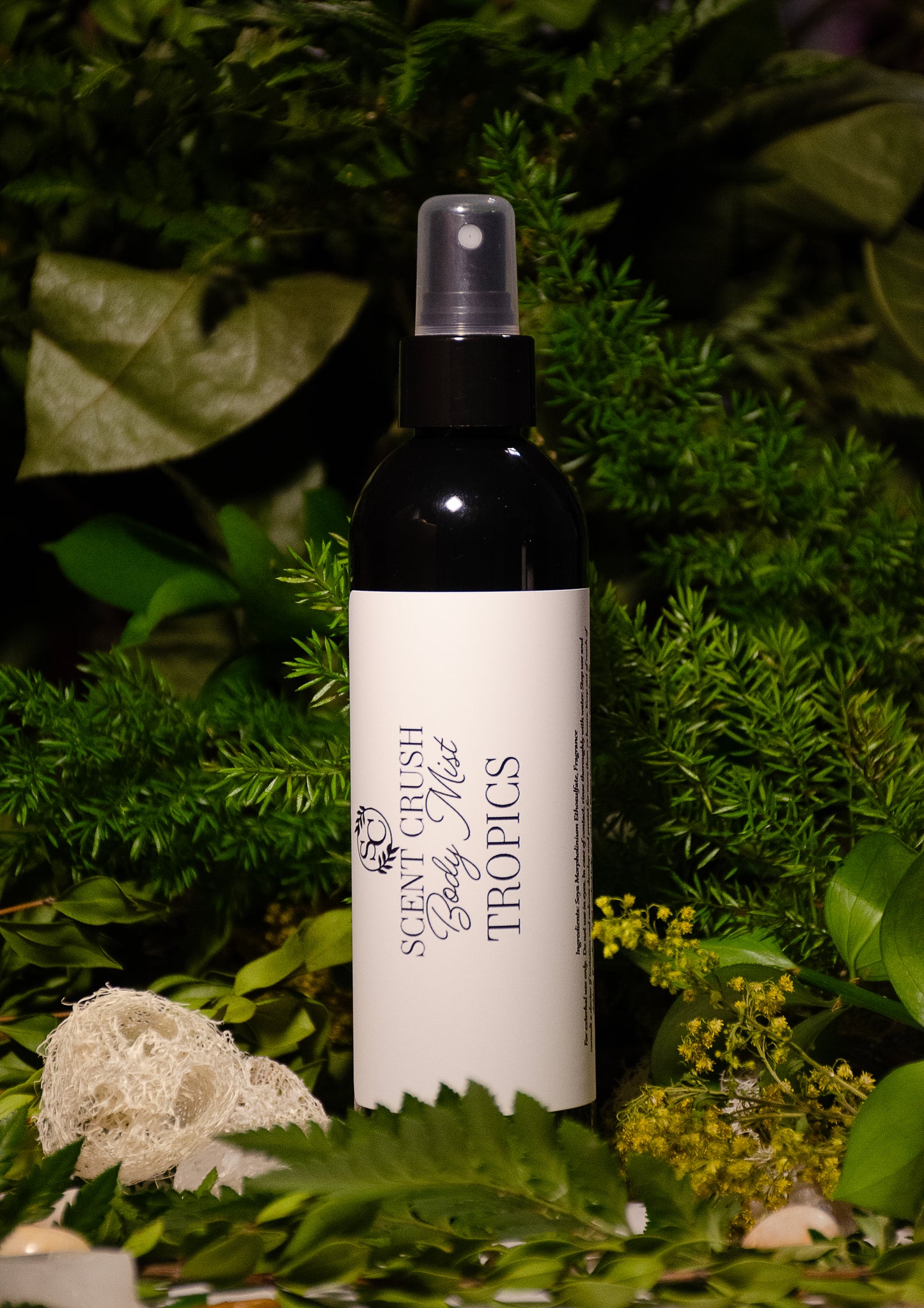 BODY MIST 4oz.