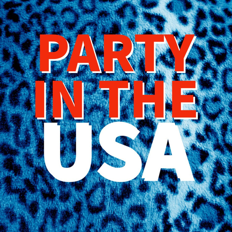 PARTY IN THE USA